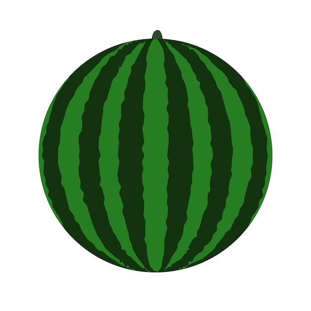 Groene watermeloen vector icon