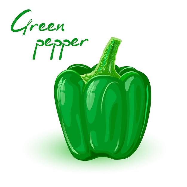 Vector groene zoete paprika