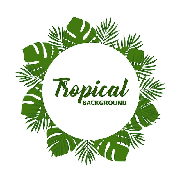 Groene zomer tropische achtergrond met exotische palmbladeren en planten vector floral background