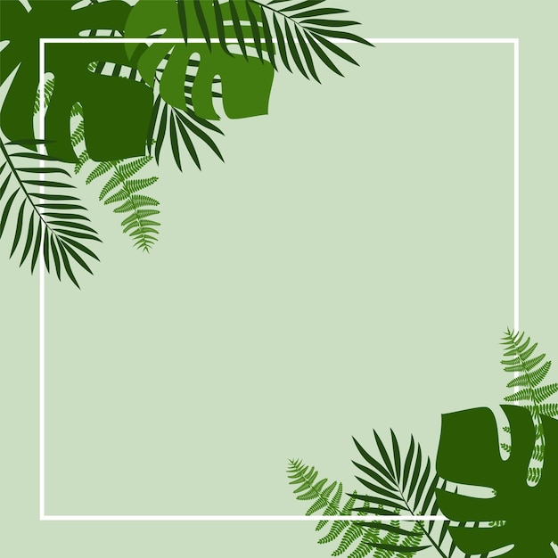 Groene zomer tropische achtergrond met exotische palmbladeren en planten vector floral background