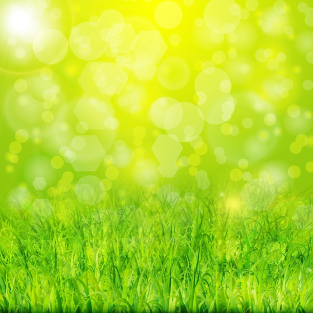 Groene zomerachtergrond met gras