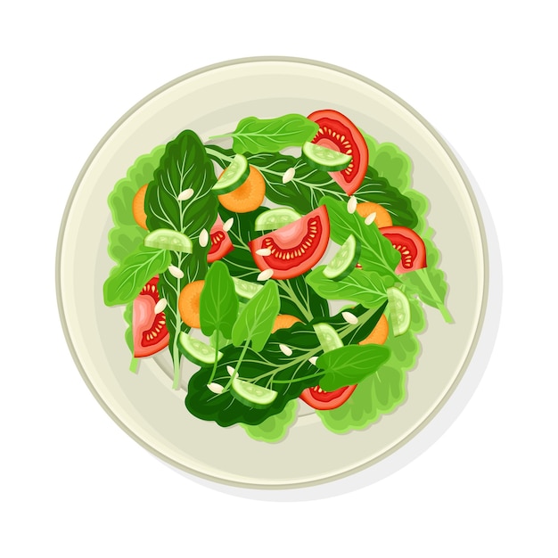 Vector groente salade met sla en tomaten vector illustratie