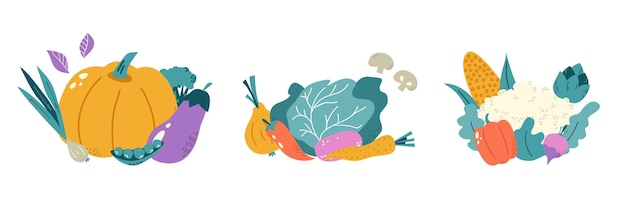 Groentecomposities doodle vegan raw ingredients groepen geïsoleerde pompoen kool aardappelen en peper vers biologisch voedsel vector set