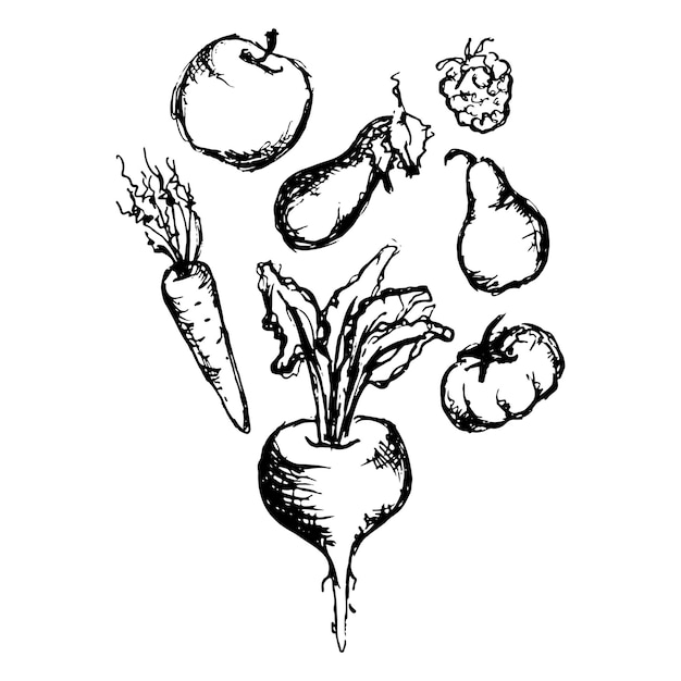 Groentefruit monochrome inkt handgetekende set vector