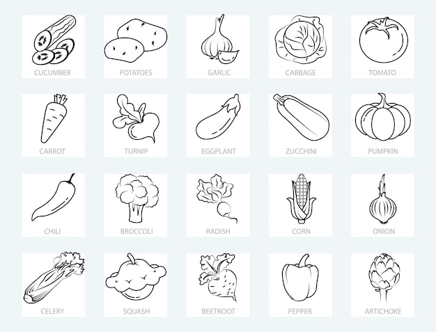 Groenten - dunne lijn web icons set