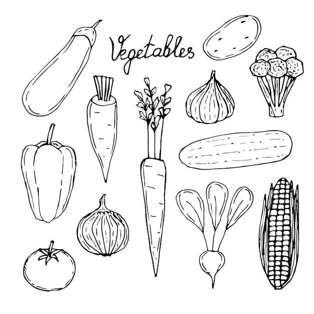 Groenten instellen vector illustratie hand tekenen schets