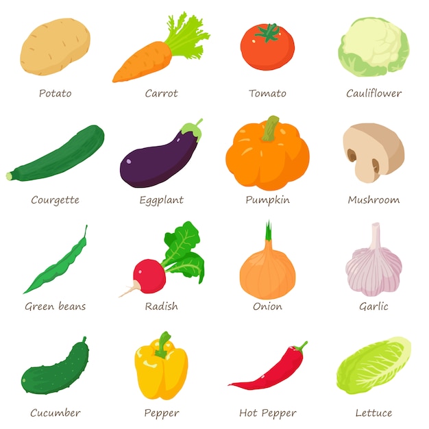 Groenten ondertekende namen pictogrammen instellen. Isometrische illustratie van 16 groenten ondertekend namen vector iconen voor web