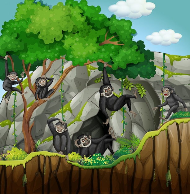 Groep gibbons die de boom beklimmen