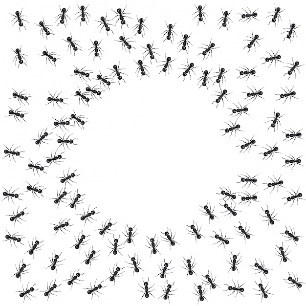 Groep mieren rond een lege cirkel.