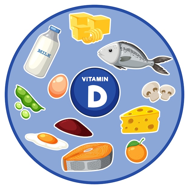 Vector groep van verschillende voedingsmiddelen die vitamine d bevatten