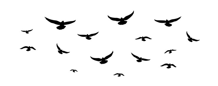 Groep vliegende vogels silhouet illustratie Vogels vliegen weg achtergrond Geïsoleerde vogel vliegt