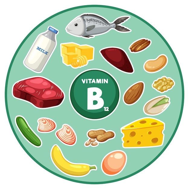 Vector groep voedsel en groenten die vitamine b12 bevatten