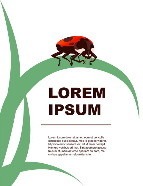 Groeten kaart concept lieveheersbeestje kever cartoon bug ontwerp platte vectorillustratie op witte achtergrond met groen gras