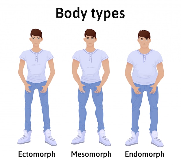 Grondwet van het menselijk lichaam. Man lichaamstypes. Endomorph, ectomorph en mesomorph. Jonge mannen in t-shirts en jeans. illustratie, geïsoleerd op een witte achtergrond.