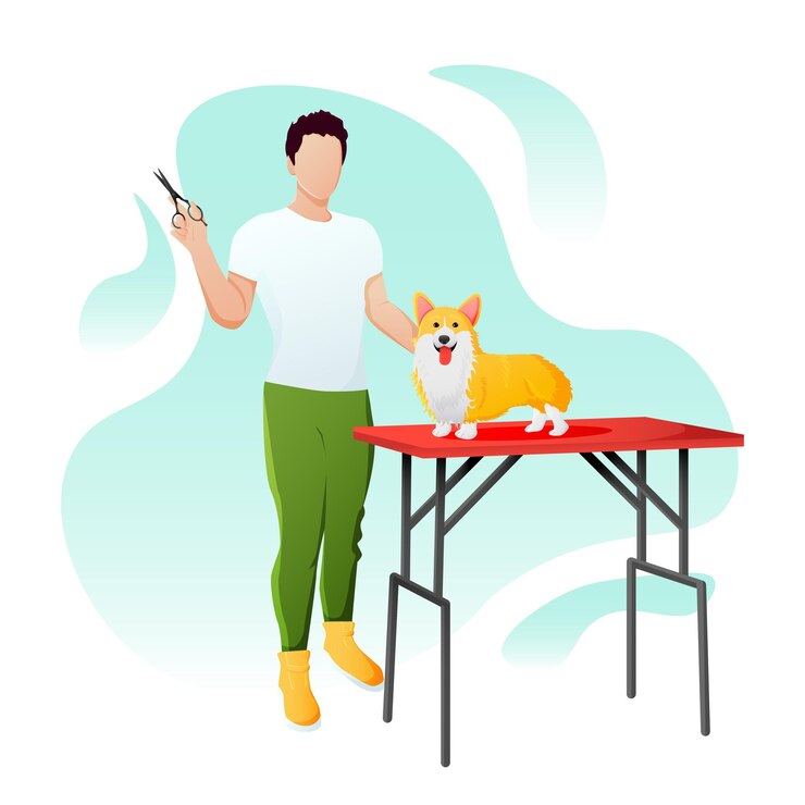 Vector groomer guy cuts a beautiful corgi dog vector backgrounx9xa