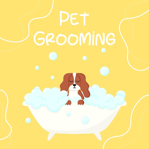 Vettore salone di toelettatura banner per salone di toelettatura illustrazione vettoriale in stile cartone animato cute spaniel in un bagno di bolle cura degli animali domestici