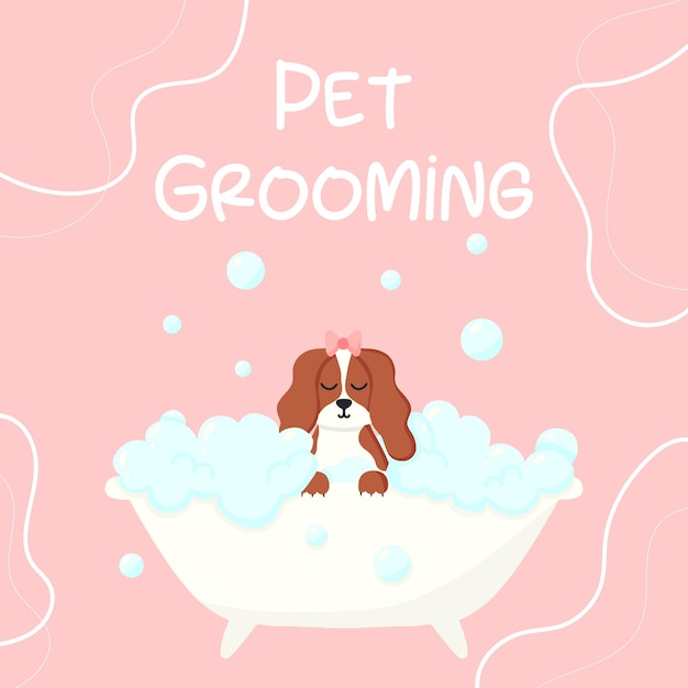 Grooming salon Banner for grooming salon Vector illustration in cartoon style Cute spaniel in a bubble bath Pet care