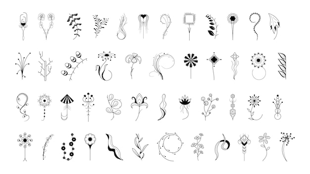 Vector grote abstracte set doodle elementen hand getrokken collectie botanische kruidenflora blad tak wijnstok bloem