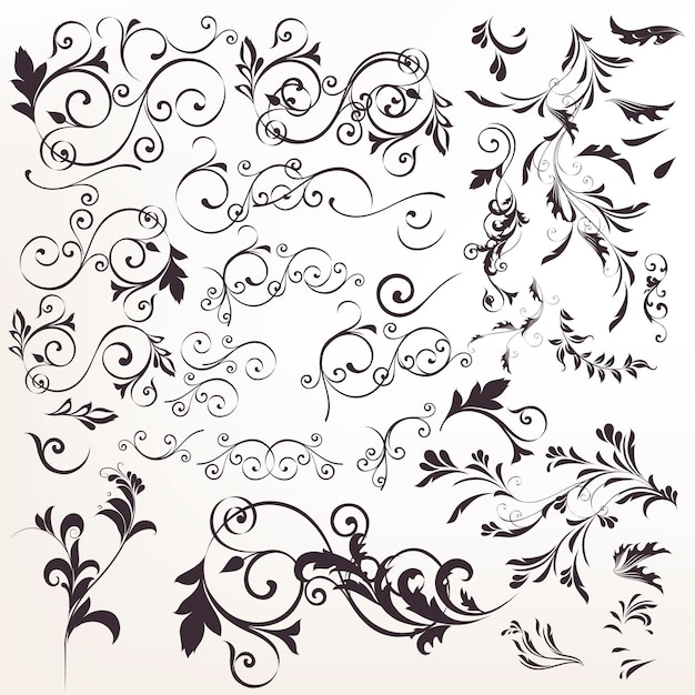 Grote collectie van vector kalligrafische bloei voor ontwerp
