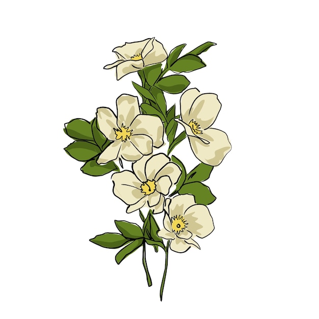 Vector grote groene bladeren en grote witte bloemen cartoon schets op een witte achtergrond