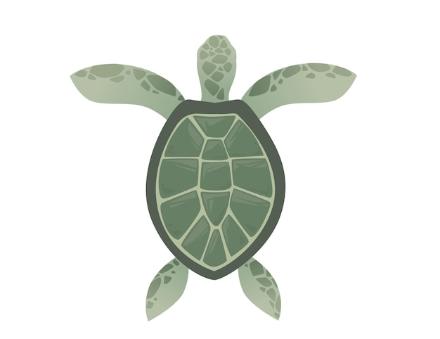 Grote groene zeeschildpad cartoon schattig dier ontwerp oceaanschildpad zwemmen in water platte vectorillustratie geïsoleerd op een witte achtergrond