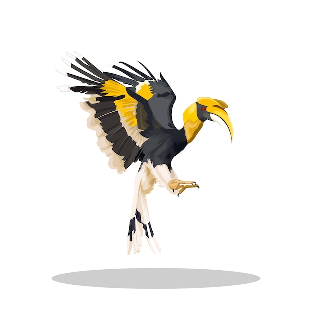 Grote neushoornvogels vogel vector