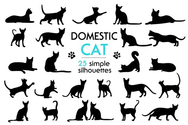 Grote reeks vector katachtige silhouetten ook. Silhouetten van katten in verschillende poses. Kattenpootafdrukken