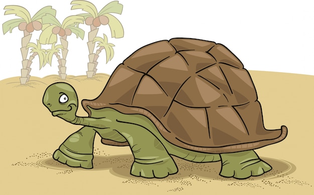 Vector grote schildpad