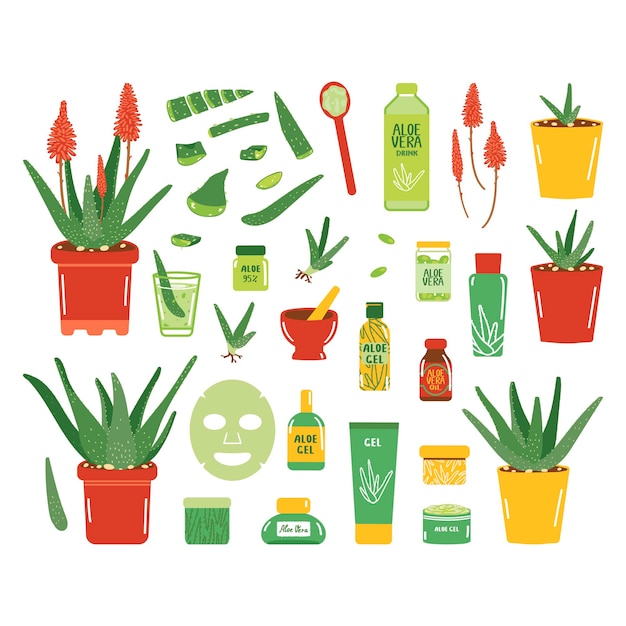 Grote set aloë vera producten. Potplanten, cosmetische en medische producten. Collectie geïsoleerd op een witte achtergrond. Vectorillustratie in vlakke stijl.