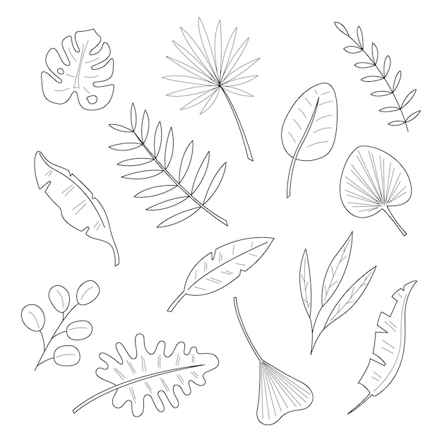 Grote set van 13 verschillende palmbladeren Doodle zwart-wit vectorillustratie