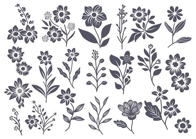 Grote set van botanische bloem en blad doodle element