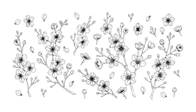 Grote set van lente kersen bloemen. vectorillustratie in schets stijl geïsoleerd op wit.