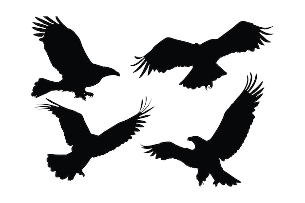 Grote vogel in verschillende posities silhouet bundel ontwerp Wild eagle vliegende silhouet set vector Wild eagle vector ontwerp op een witte achtergrond Eagle vliegende silhouet collectie