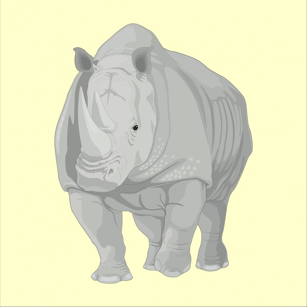 Vector grote wilde neushoorn