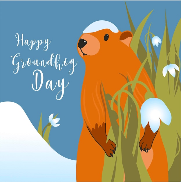 Vector groundhog day card the harbinger of spring cute marmot character february 2