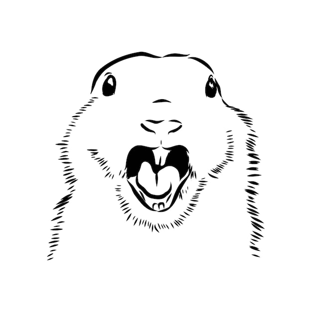 Vector groundhog marmot sketch vector illustration marmot hand drawing
