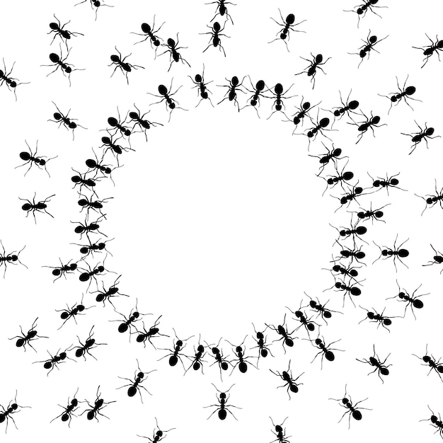 Group of ants around an empty circle background