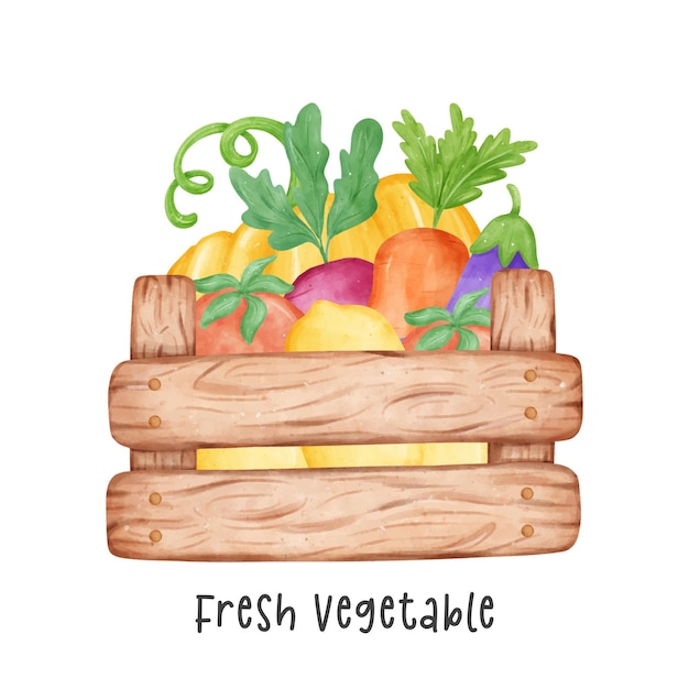 Vector group of assorted fresh colorful vegetable watercolour in wooden garden container vector cartoon