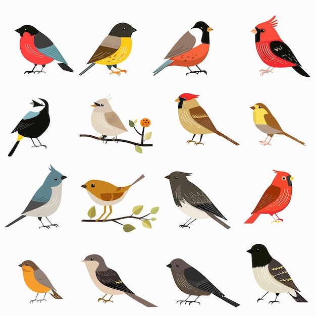 a group of birds with one of them has a red beak