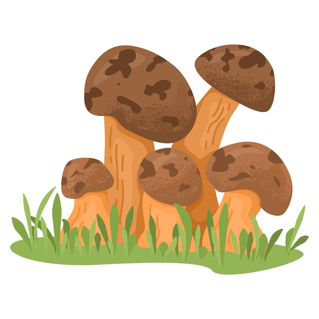 Group brown mushrooms growing grass edible fungi nature scene forest harvest wild food autumn