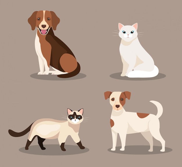 Vector group of cute cats and dogs