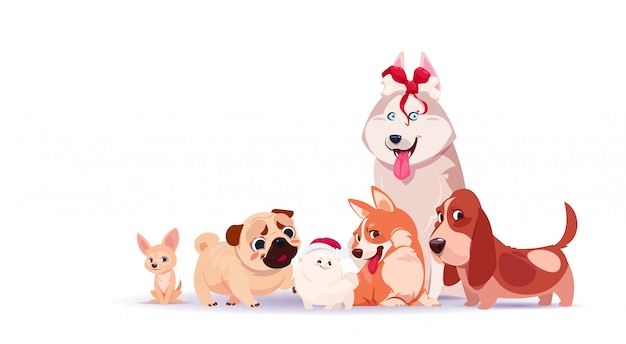 Группа милых собак, сидя на белом фоне, носить шляпу Санта и держит украшенные кости
