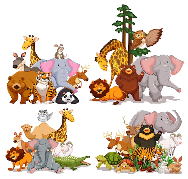 Vector group of different types of animals illustration