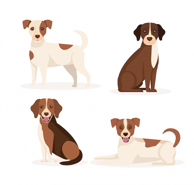 Vector group of dogs animals icons