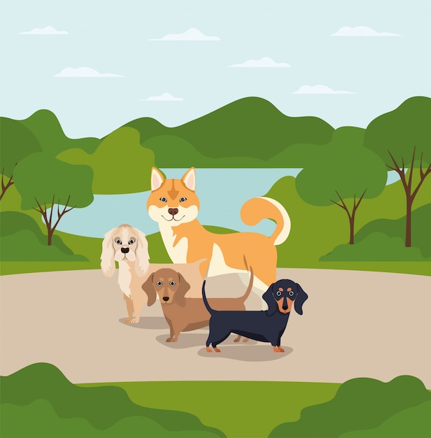 Vector group of dogs pets in the camp characters