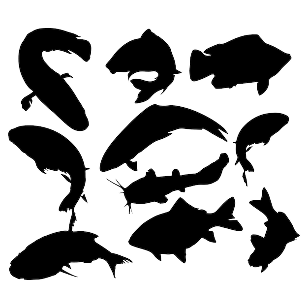Vector a group of fish that are black and white