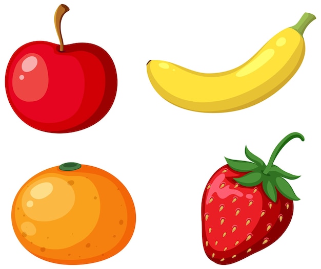 Vector group of fruits isolated