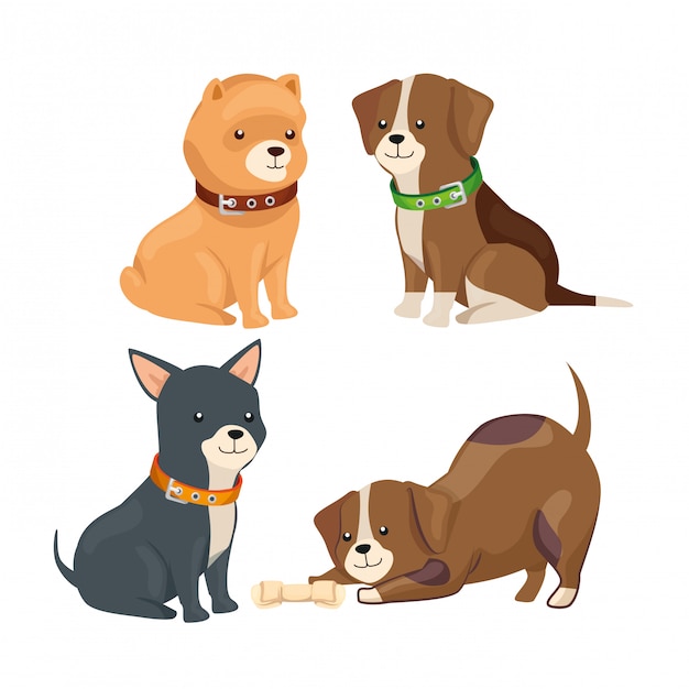 Vector group of little dogs animals isolated