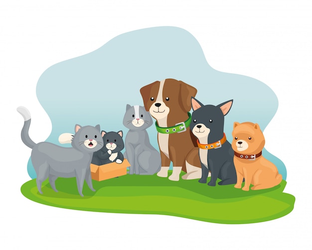 Vector group of little dogs and cats