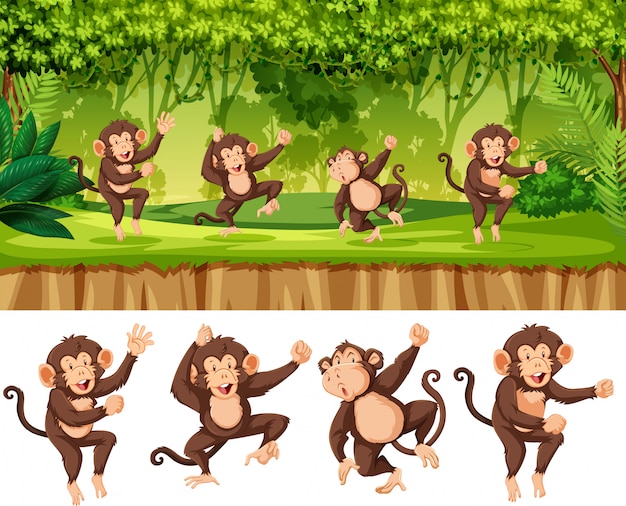 Vector group of monkey in forest